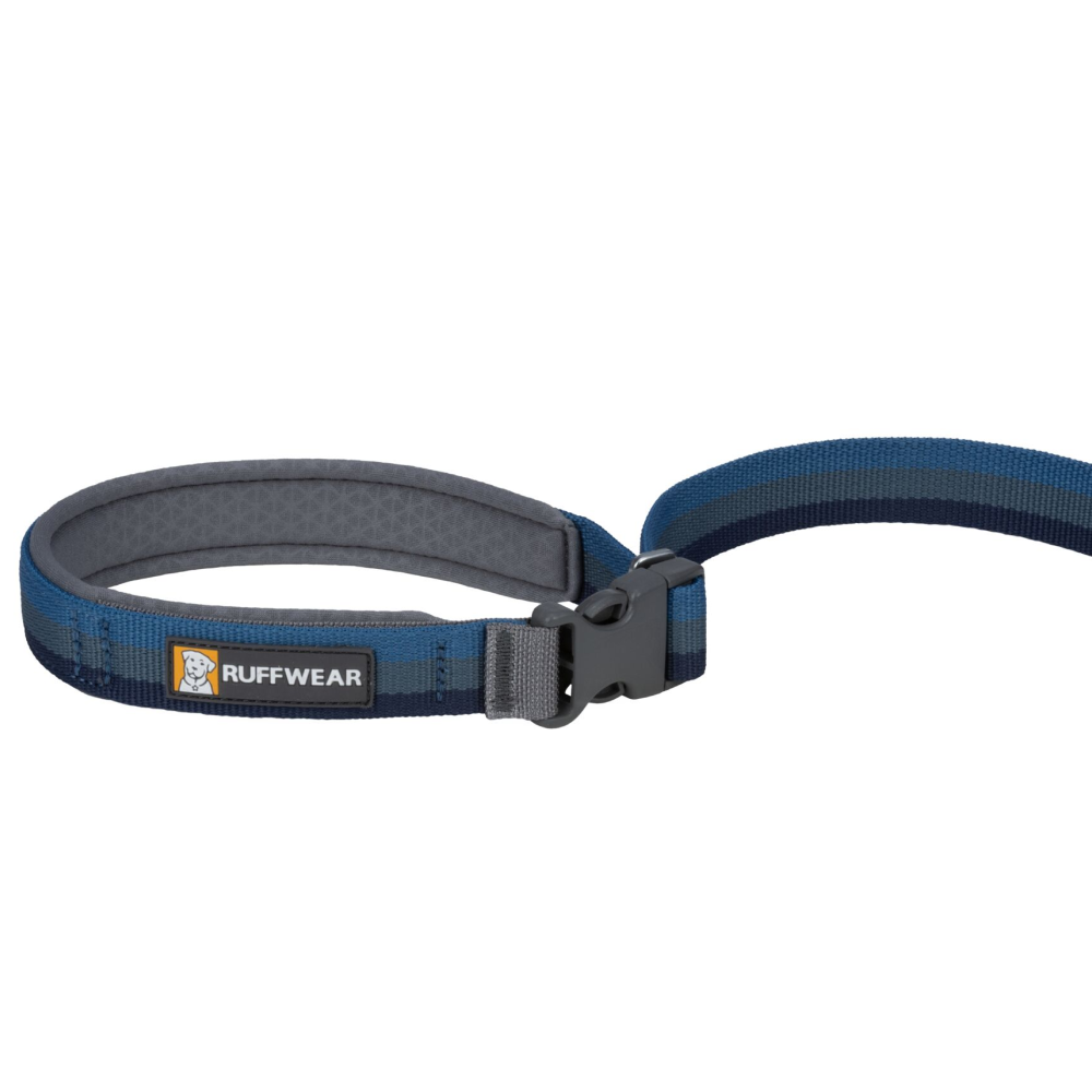 Ruffwear Roamer Bungee Leash for Dogs (Orion Blue) image 2