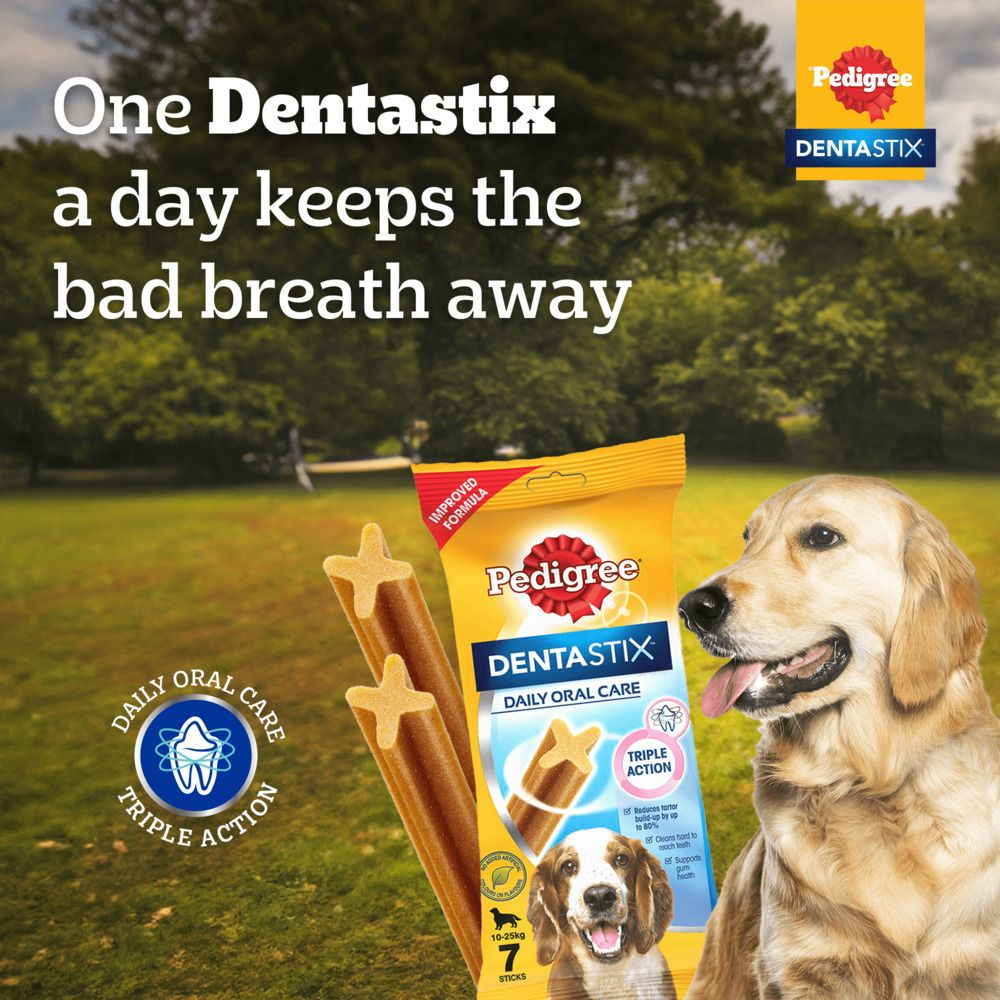 Pedigree Dentastix Oral Care for Adult (Medium Breed 10 to 25 kg) Dog Treats image 4