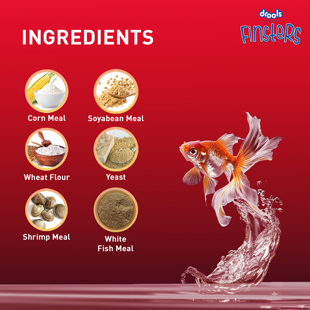 Drools Finsters Quick Red Fish Food image 9