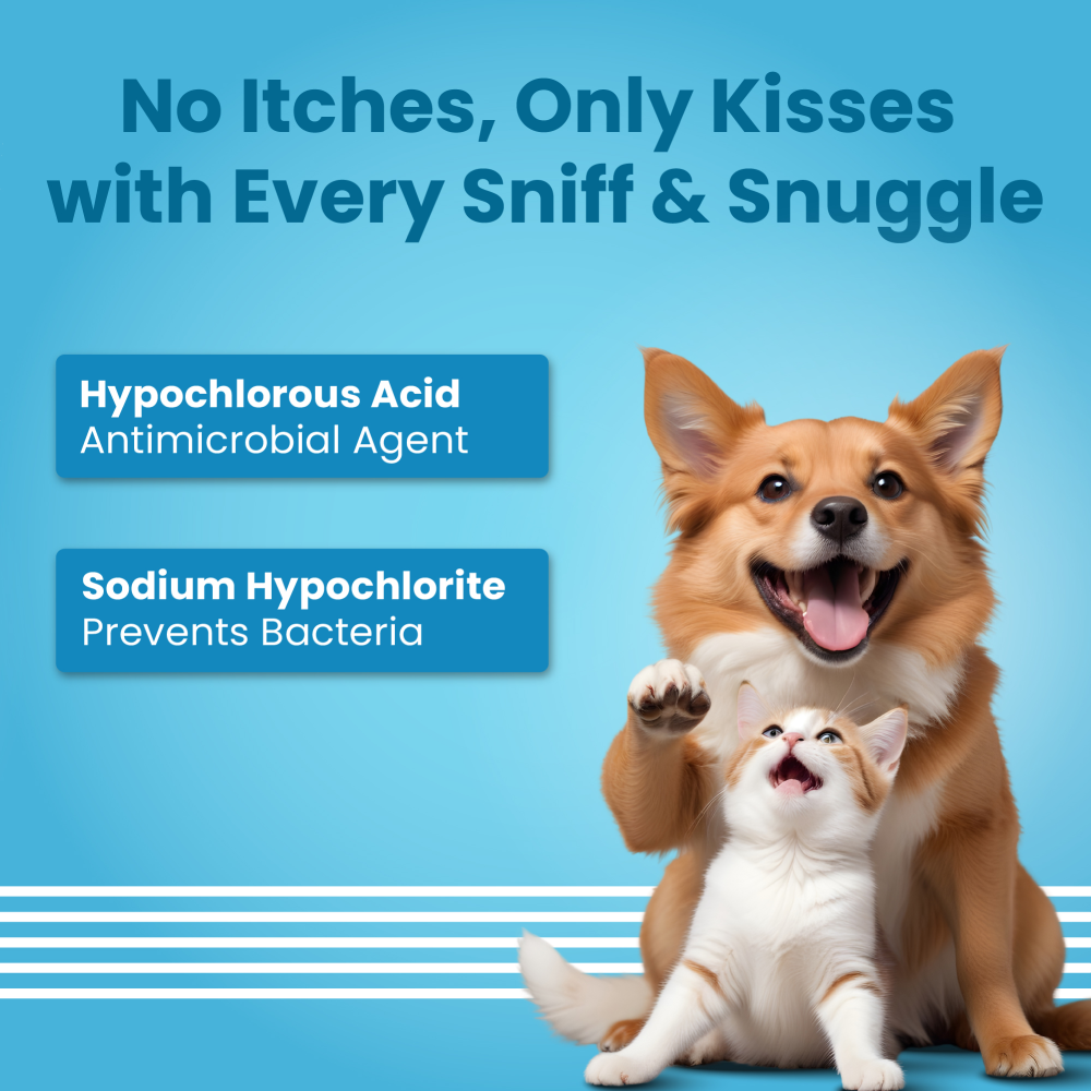 Bark Out Loud Anti Microbial Skin Spray for Dogs and Cats image 6