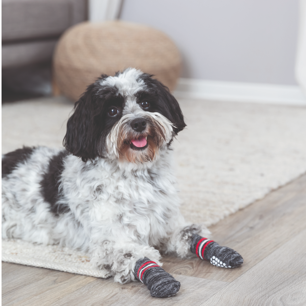 Trixie Non Slip Socks for Dogs (Grey, Set of 4) image 3