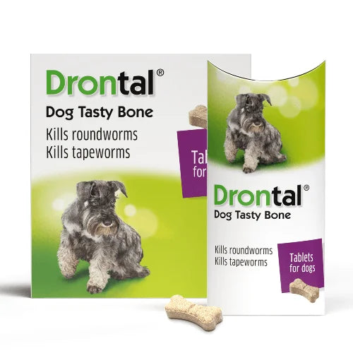 Drontal Plus Tasty Dog Deworming Tablet (pack of 6 tablets) image 2