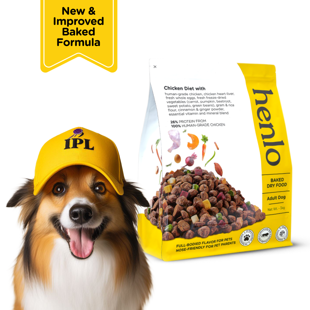 Henlo Chicken & Vegetable Baked Dry Food for Adult Dogs and SKATRS Anti Skid Stainless Steel Bowl Combo image 9