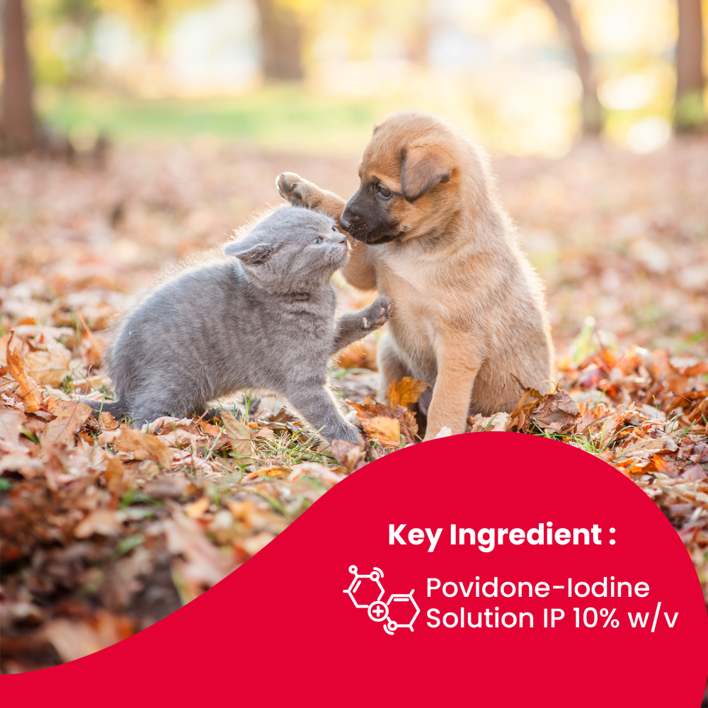 Beaphar Povidone Iodine Wound Healing Spray for Dogs and Cats image 3