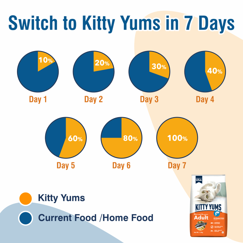 Kitty Yums Ocean Fish Adult (1+ years) Cat Dry Food image 3