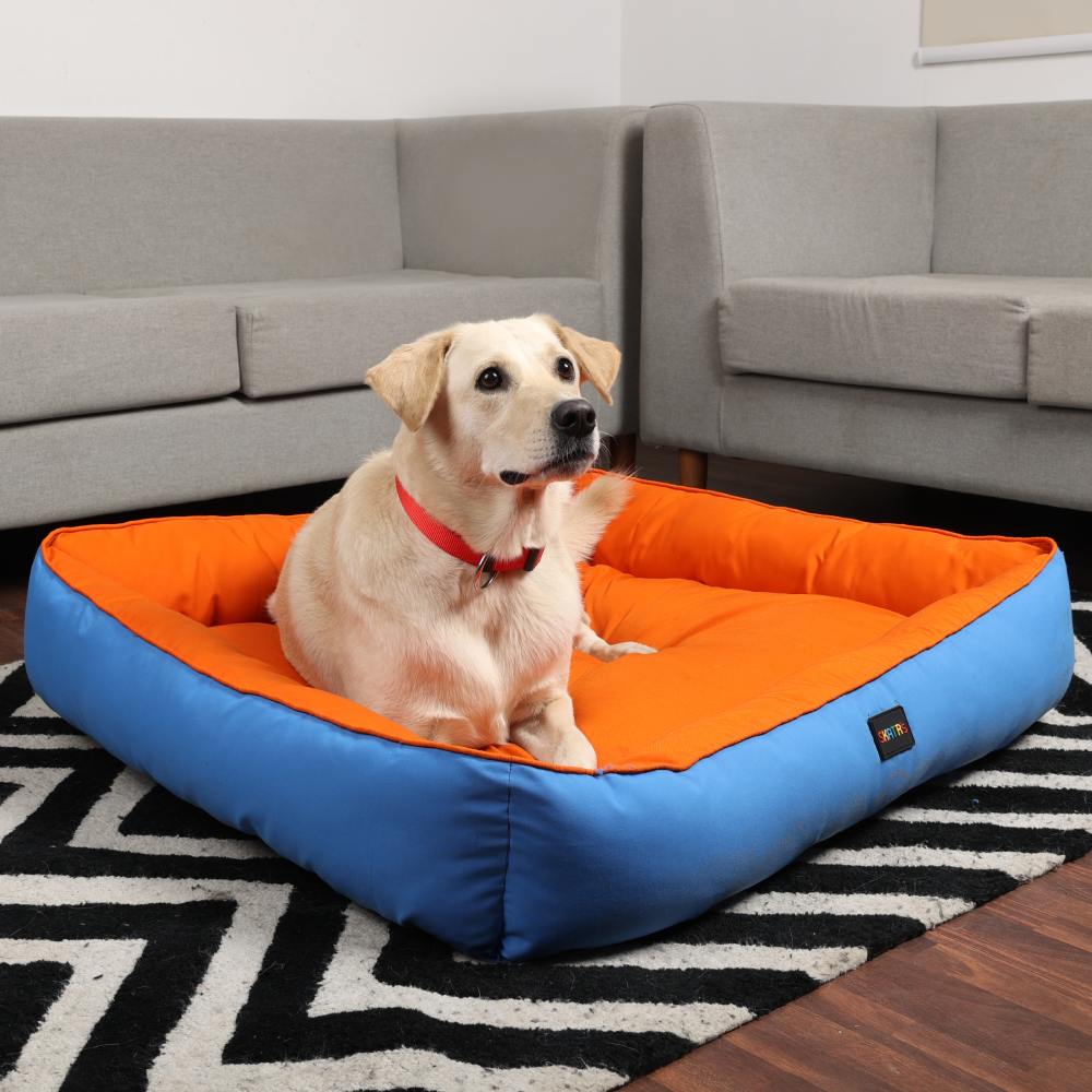 Skatrs Square Shaped Bed for Dogs & Cats (Orange & Blue) image 4