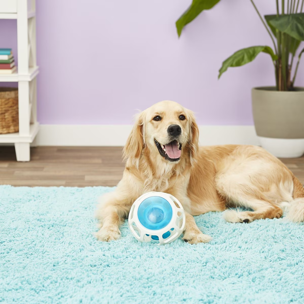 JW Rockin Treat Ball Toy for Dogs (White/Blue) image 3
