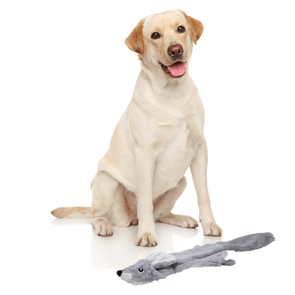 Barkbutler x Fofos Skinneez Rabbit Interactive Squeaky Toy for Dogs (Grey) image 3