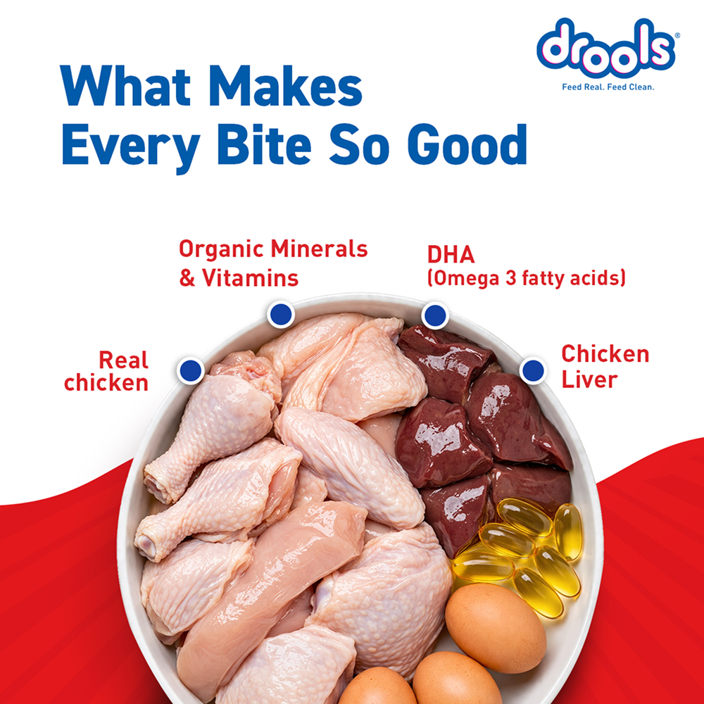 Drools Real Chicken & Chicken Liver Chunks in Gravy Puppy Dog Wet Food image 8