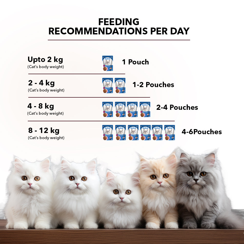 Active Real Chicken & Chicken Liver in Gravy Adult Cat Wet Food ( Buy 1 Get 1) image 3