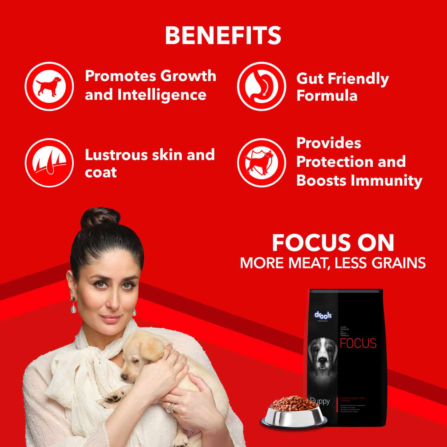 Drools Focus Super Premium Dry Food and Chicken & Chicken Liver Chunks in Gravy Puppy Dog Wet Food Combo image 5