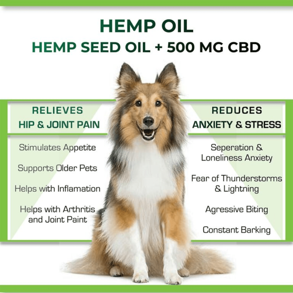 Cure By Design Hemp Oil for Dogs and Cats image 6