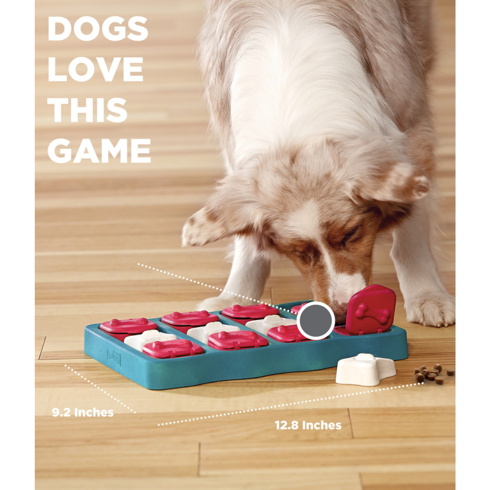 Outward Hound Nina Ottosson Brick Game for Dogs (Blue Level 2 Intermediate) | For Medium Chewers image 5
