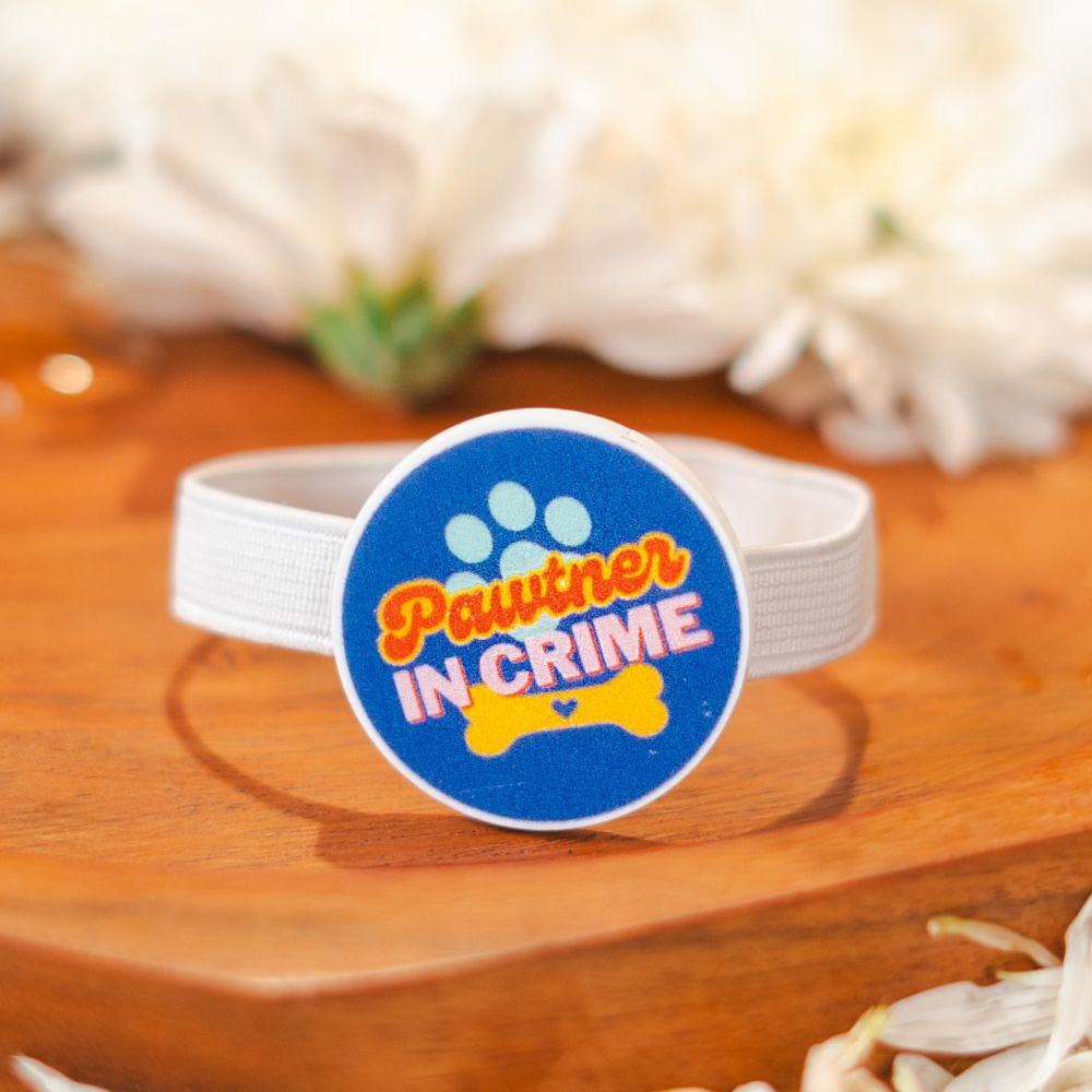 Raksha Bandhan Pawtner in Crime Rakhi for Dogs & Cats by Pet Set Go