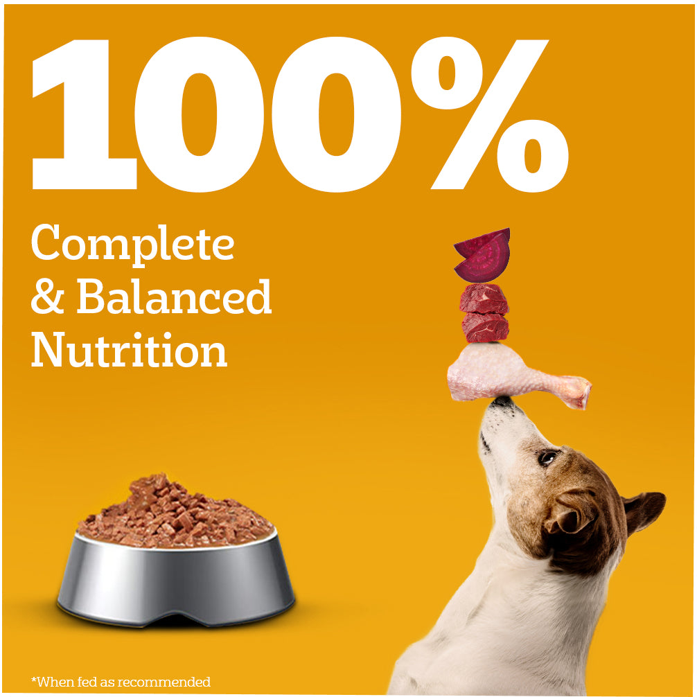 Pedigree Chicken and Liver Chunks in Gravy Adult Dog Wet Food (70g) image 5