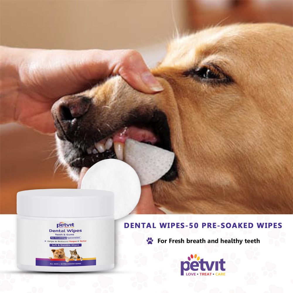 Petvit Dental Wipes for Dogs and Cats image 8