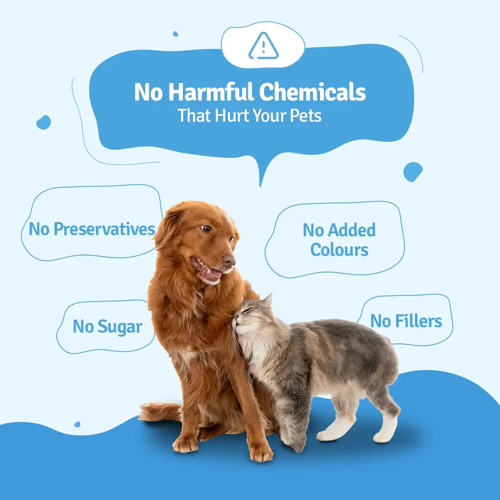 BLEP Chicken Broth for Cats and Dogs image 5
