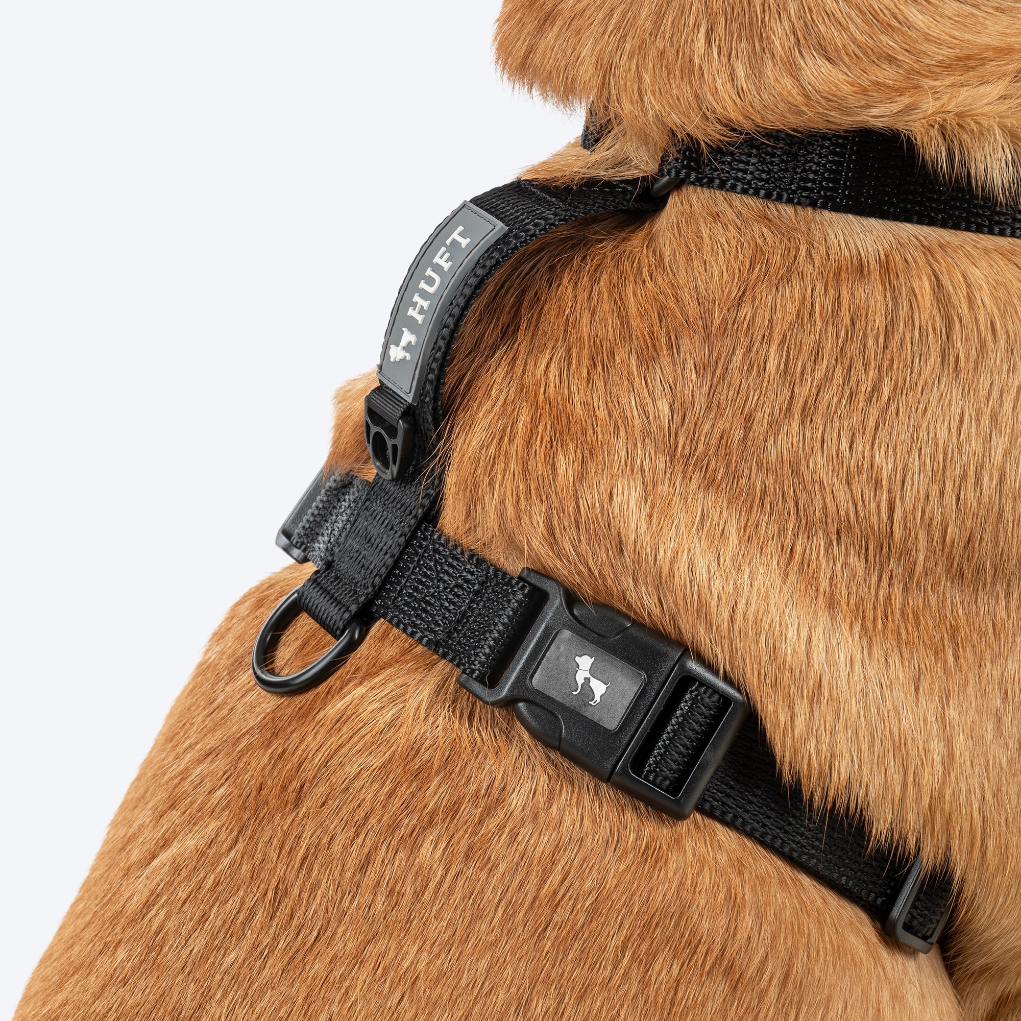 HUFT Classic H Harness for Dogs (Coral Black) image 5
