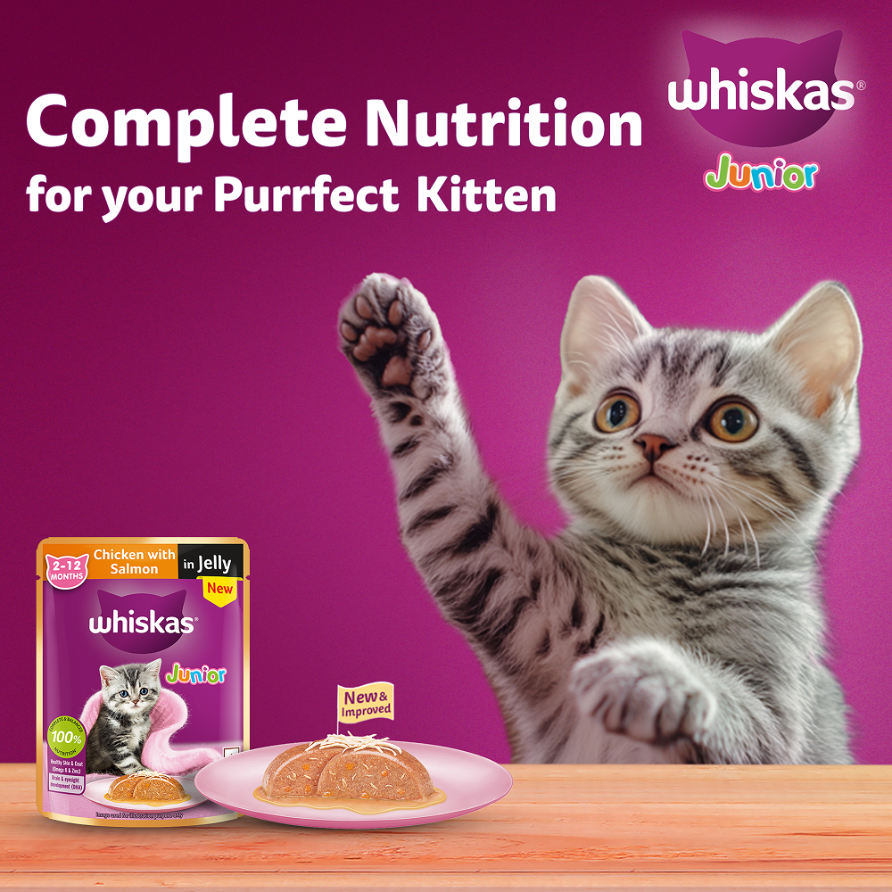 Whiskas Chicken with Salmon in Jelly Kitten (2-12 Months) Cat Wet Food image 9