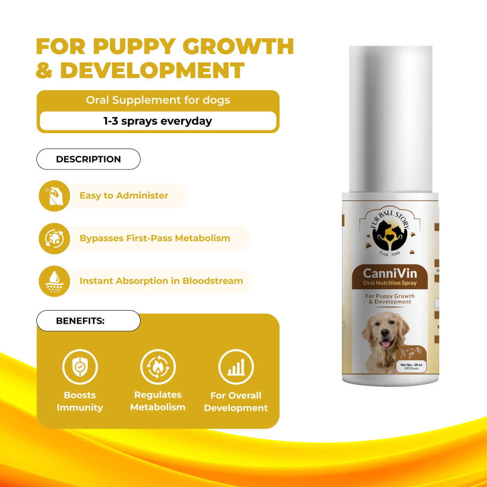 FurBall Story Cannivin Healthy Bones & Teeth Oral Nutritional Spray for Dogs image 5