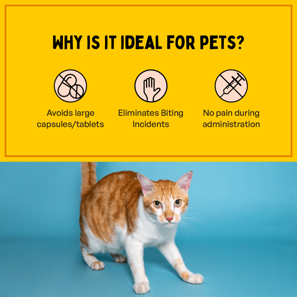 Furlicks Multivitamin for Cats and Dogs image 7
