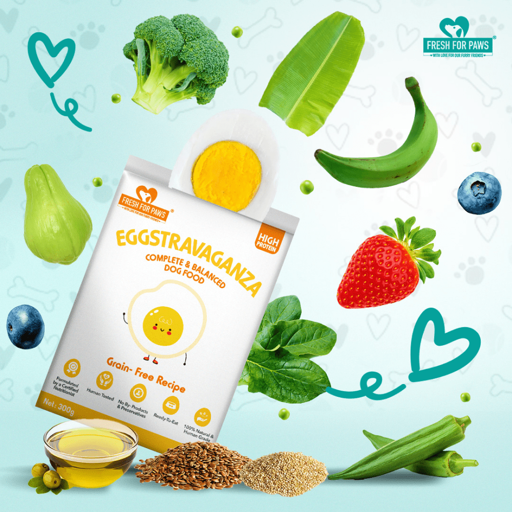 Fresh For Paws Eggstravaganza Dog Wet Food (300g) image 3