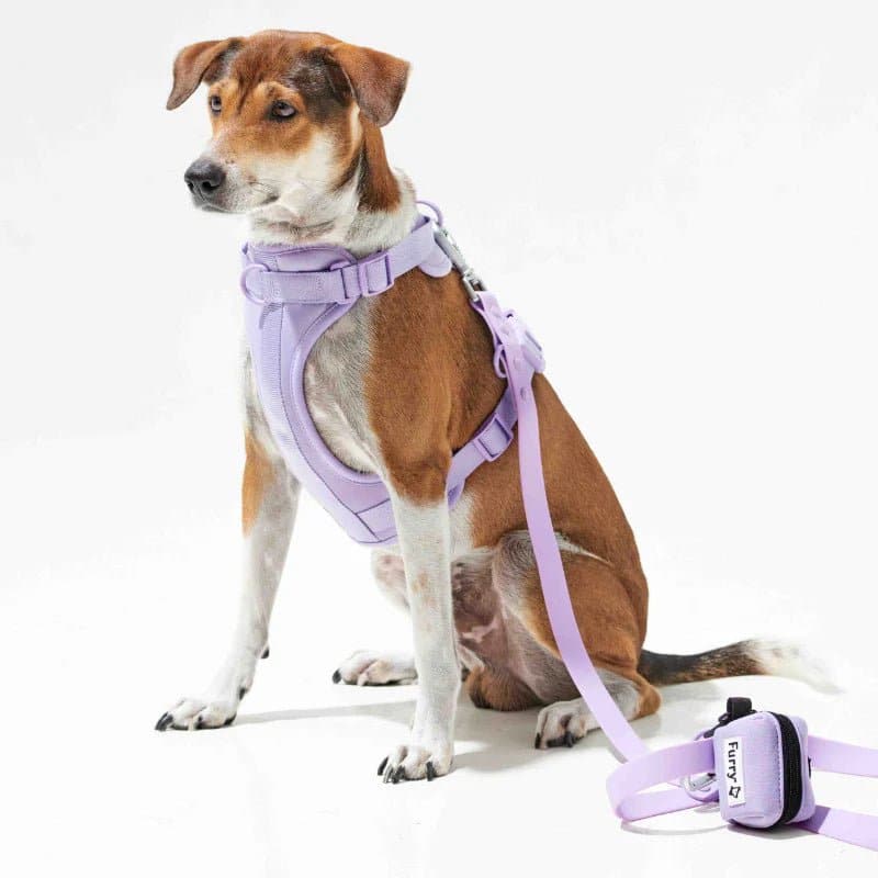 Furry & Co Bold Harness for Dogs (Lilac) image 4