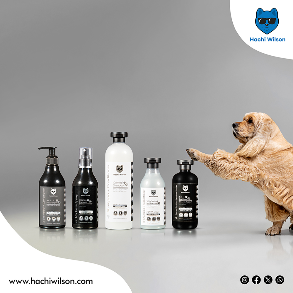 Hachi Wilson Super Premium White Tea and Basil Shampoo for Cats image 4