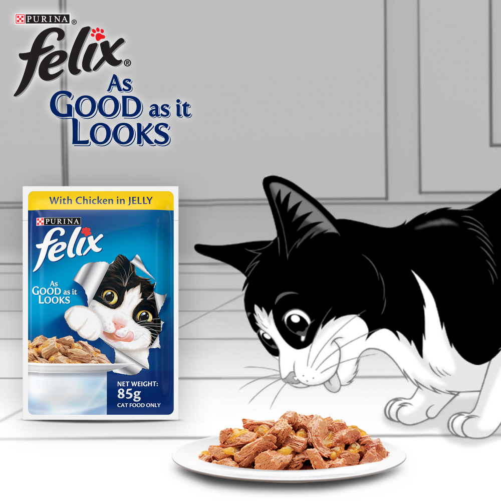 Purina Felix with Chicken and Salmon in Jelly Adult Cat Wet Food image 6