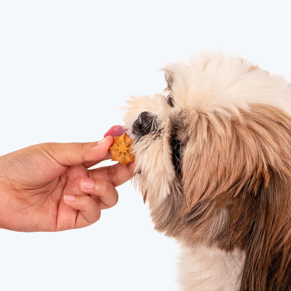 HUFT Gluten Free Goat Milk & Grilled Chicken Cookie Dog Treats image 9