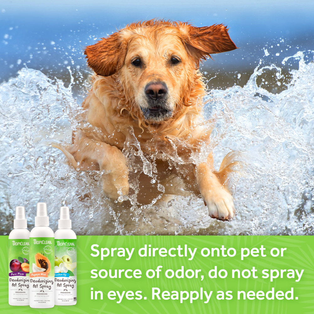 Tropiclean Papaya Mist Cologne Spray for Dogs and Cats image 6