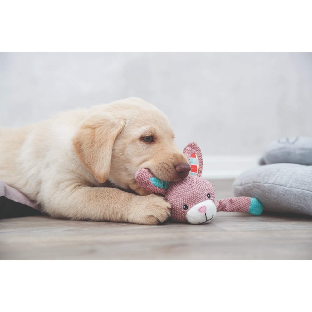 Trixie Junior Bunny Toy for Dogs image 3