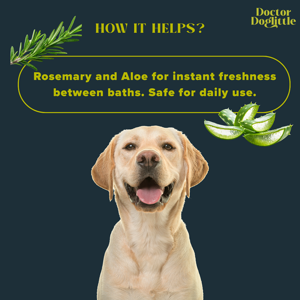 Doctor Doglittle Probiotic Dry Bath Shampoo for Dogs image 9