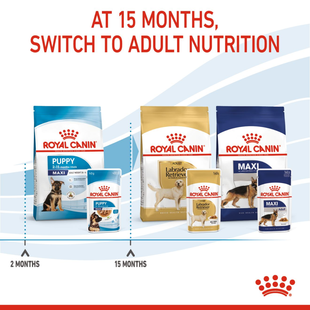 Royal Canin Maxi Puppy Dog Wet Food image 9