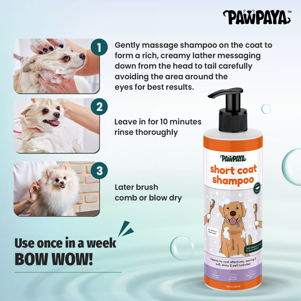 Pawpaya Short Coat Shampoo for Dogs image 3