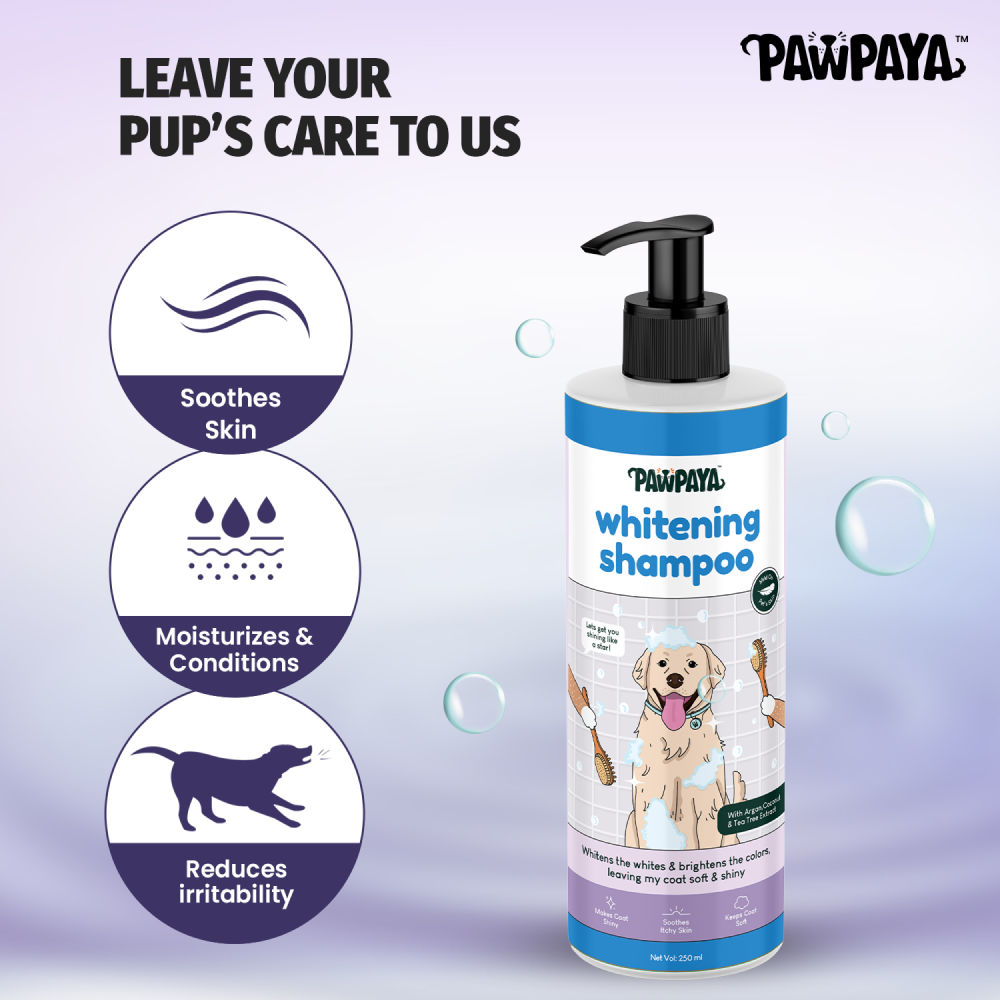 Pawpaya Whitening Coat Shampoo for Dogs image 4
