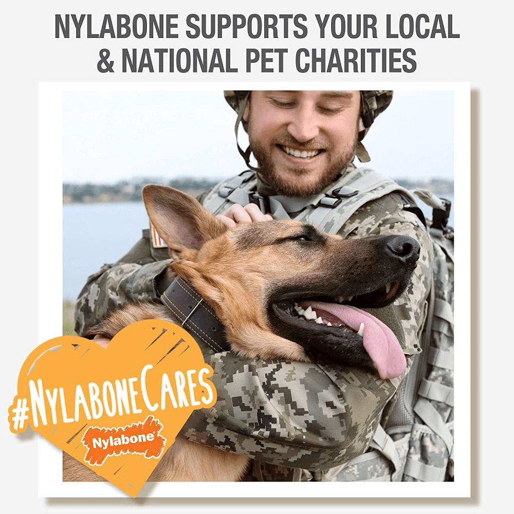 Nylabone Puppy Teething Maple Bacon Flavoured Stong Chew Real Wood Sticks Toy for Dogs (Brown) image 8