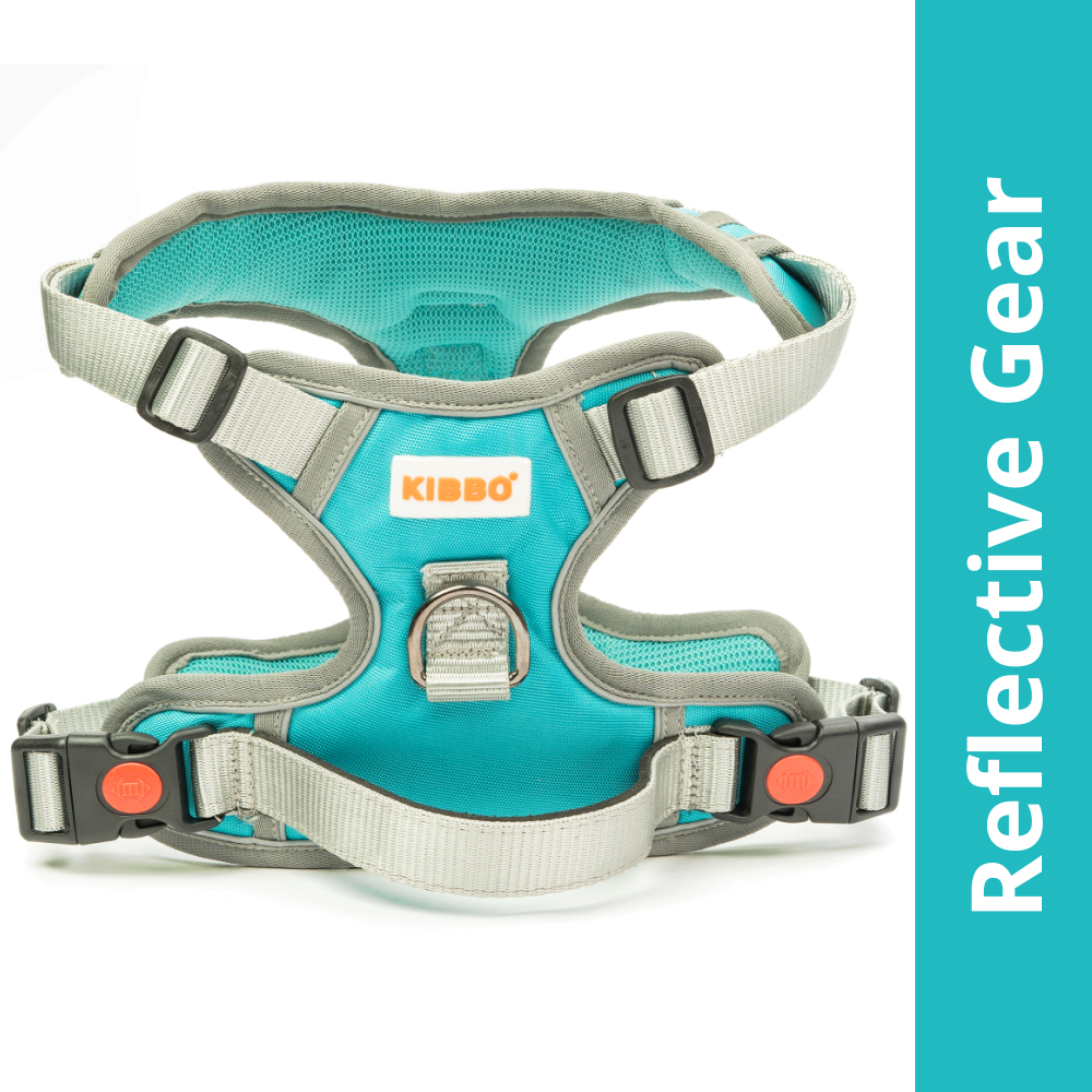 Kibbo Reflective Vest Harness with Dual Lock Buckle for Dogs (Sea Green)