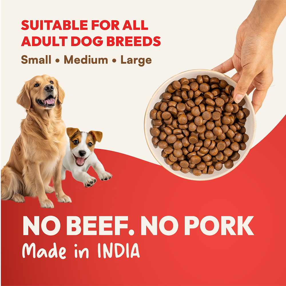 DatGud Chicken & Brown Rice Adult Dog Dry Food (Buy 1 Get 1 Free) image 2
