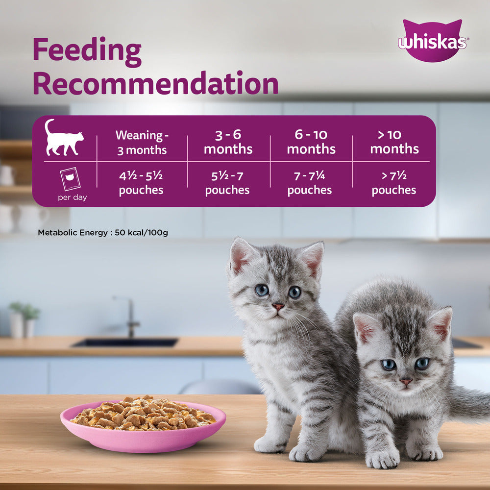 Whiskas Chicken in Gravy Meal Kitten Wet Food image 8