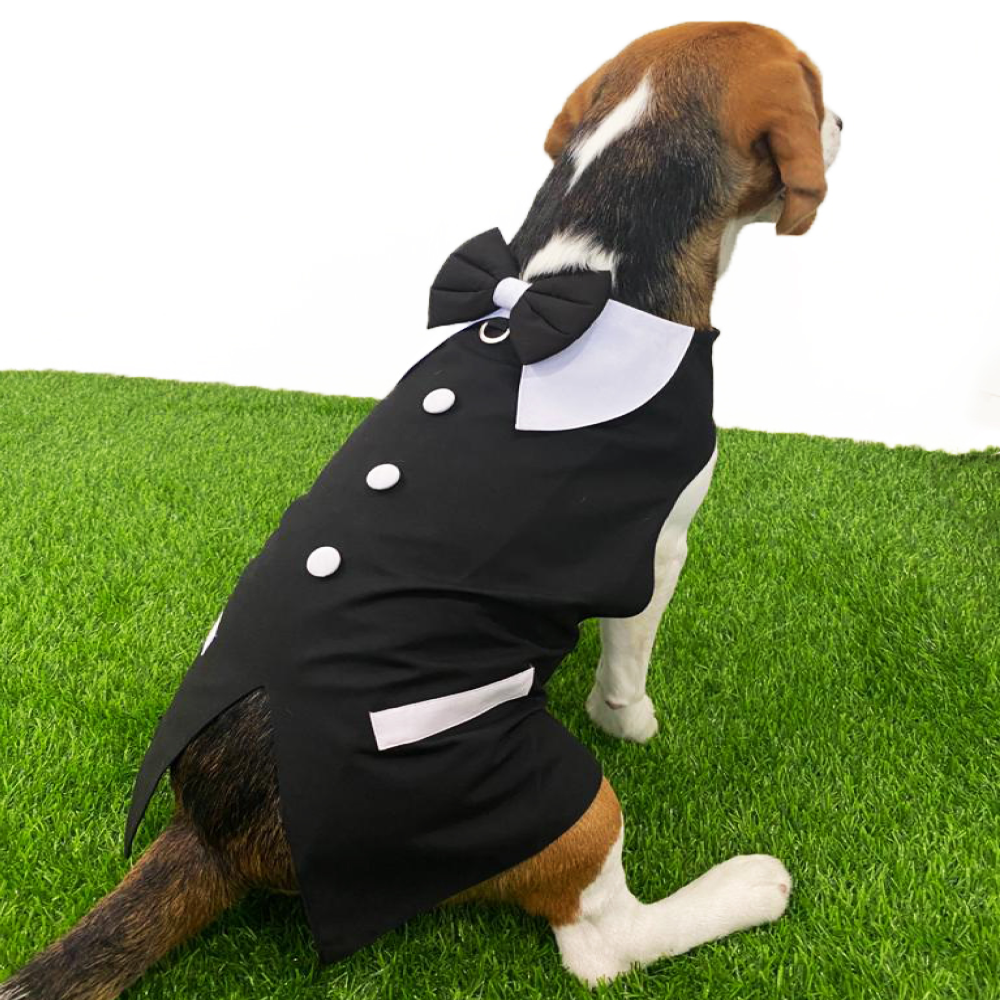 Dogobow Tuxedo Wrap for Dogs (Black / White) (Get a Bow Free) image 4