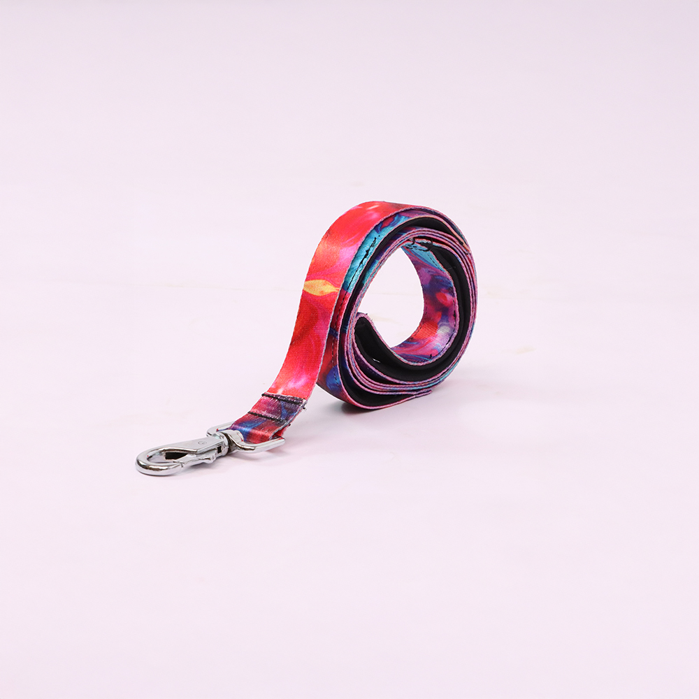 Skatrs Liquid Art Leash for Dogs image 1
