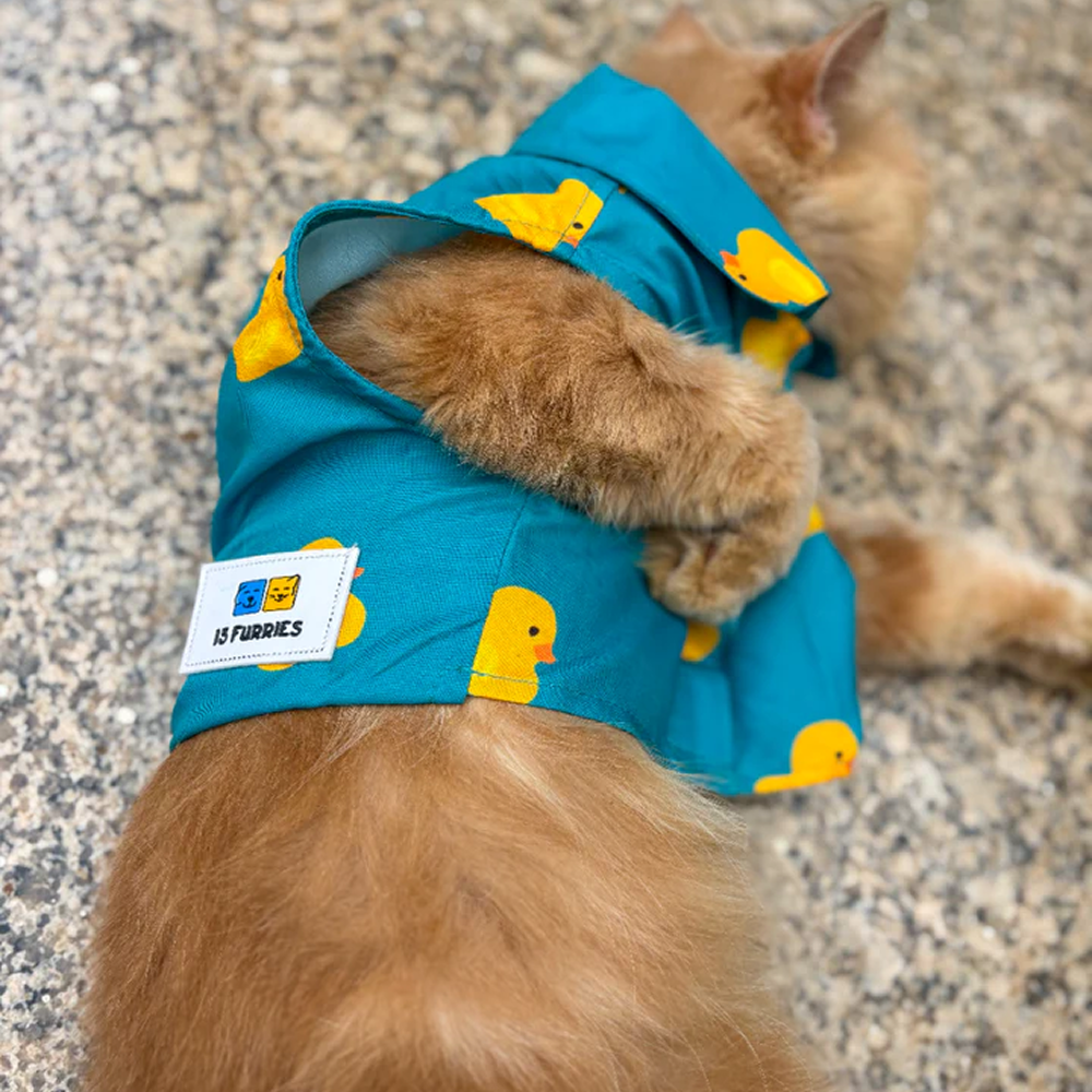 15 Furries Little Duckling Shirt for Cats (Green and yellow) image 4