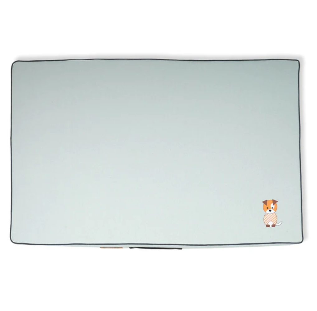 Petter World Comfort Flat Foam Bed for Dogs (Celeste Green) image 1