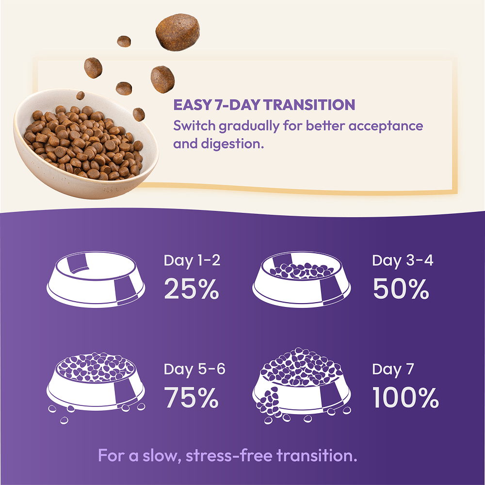DatGud Chicken & Wild Fish Adult Cat Dry Food (Buy 1 Get 1 Free) image 10