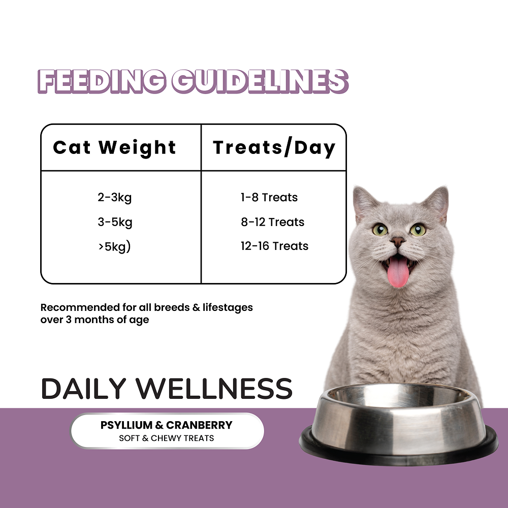 Fullr Daily Wellness Soft & Chewy Cat Treats image 4