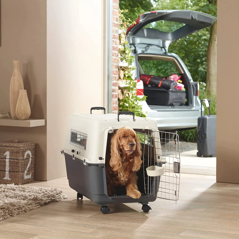 Savic Andes 5 Carrier for Dogs and Cats (Ivory) image 6
