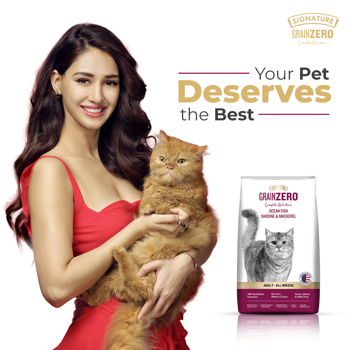 Signature Grain Zero Ocean Fish, Sardine and Mackerel Adult Cat Dry Food image 7