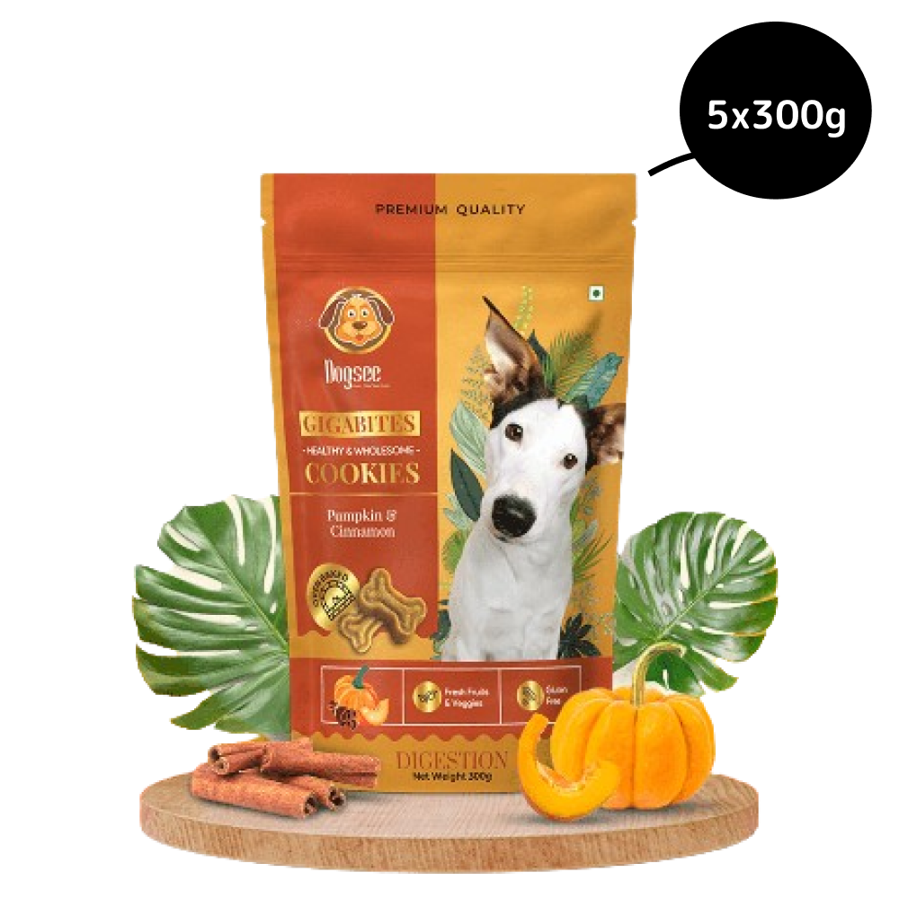 Dogsee Chew Gigabites Pumpkin and Cinnamon Dog Cookie Treats image 6