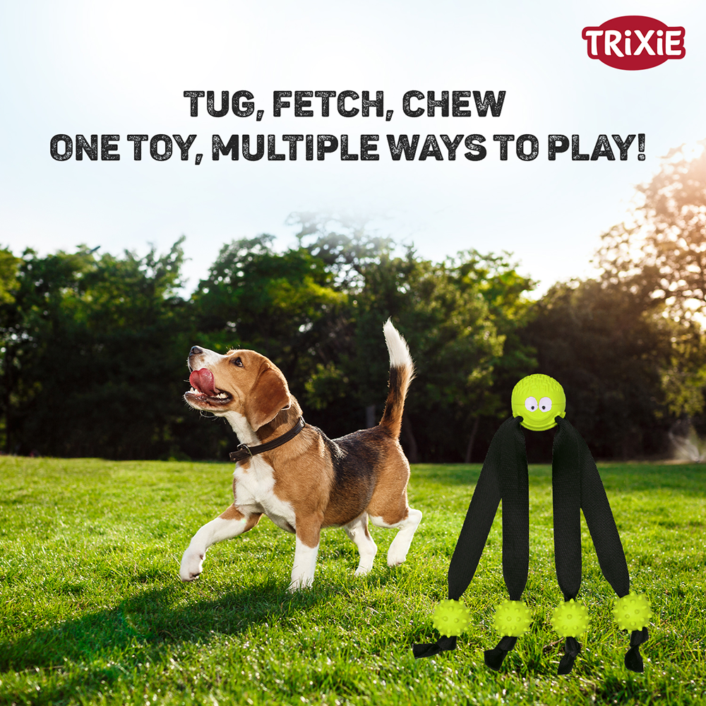 Trixie Ball on a Strap Toy for Dogs (Green) image 4